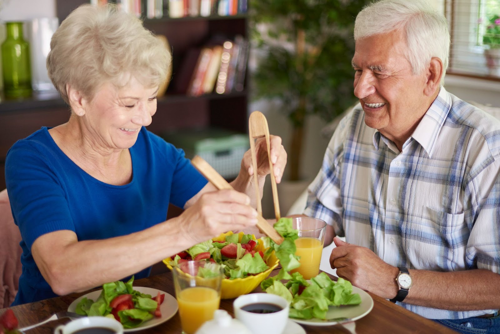 Senior couple enjoying a nutritious meal through a dietetics home care program promoting balanced eating habits